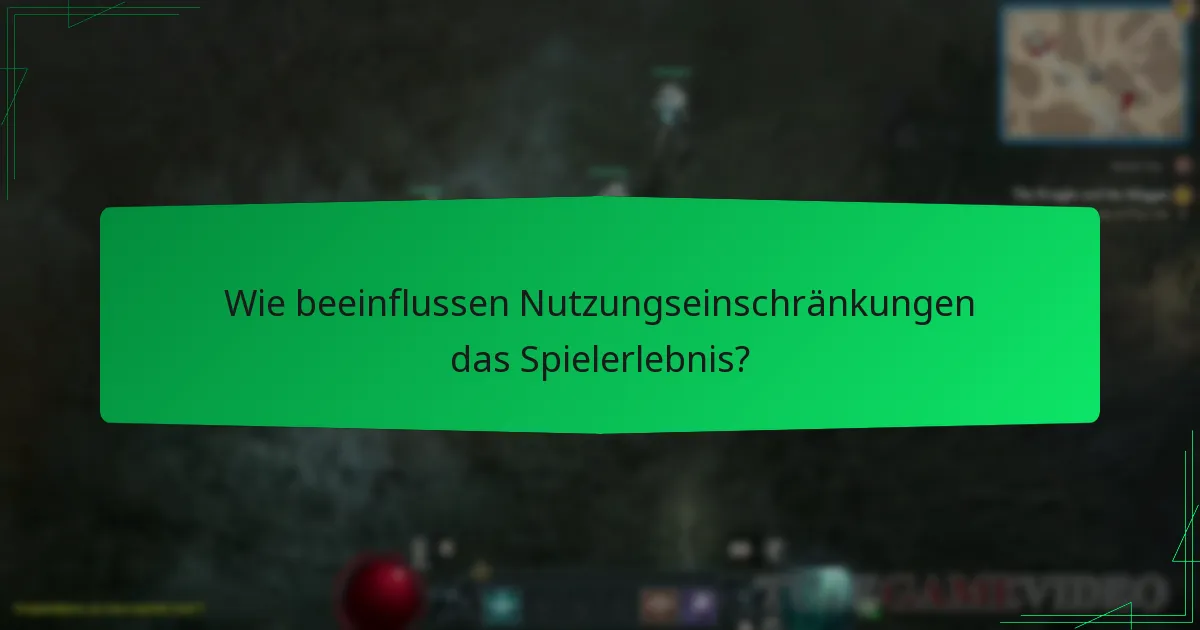 Wie beeinflussen Nutzungseinschränkungen das Spielerlebnis?